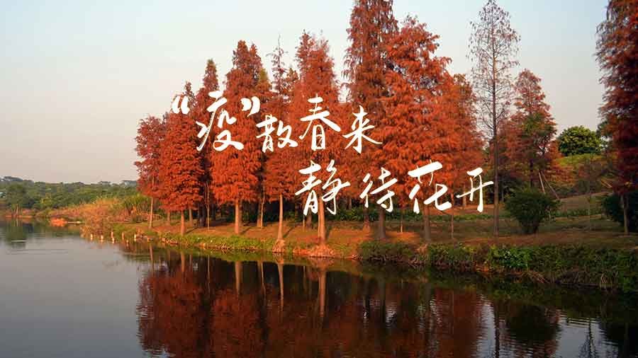 恒溫恒濕試驗(yàn)箱 恒溫恒濕試驗(yàn)箱